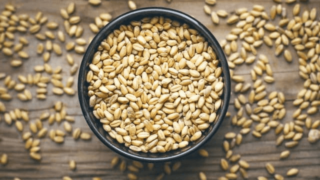 Discovering Talbeena: A Tradition of Wellness - Khalis Organo