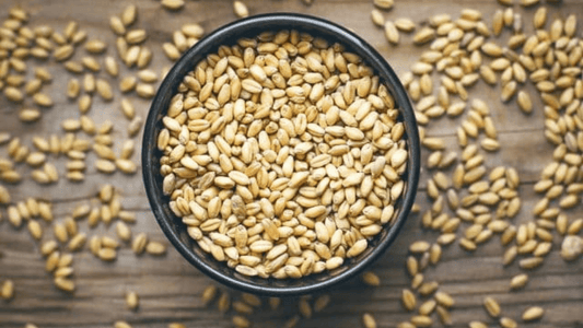 Discovering Talbeena: A Tradition of Wellness - Khalis Organo